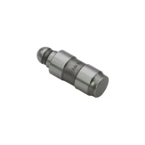 Ekspresowa dostawa Popychacze zaworowe AUTOMEGA 130016610
